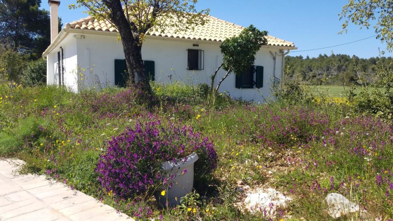 Ferienwohnung Dorinda Agia Marina  Exterior foto