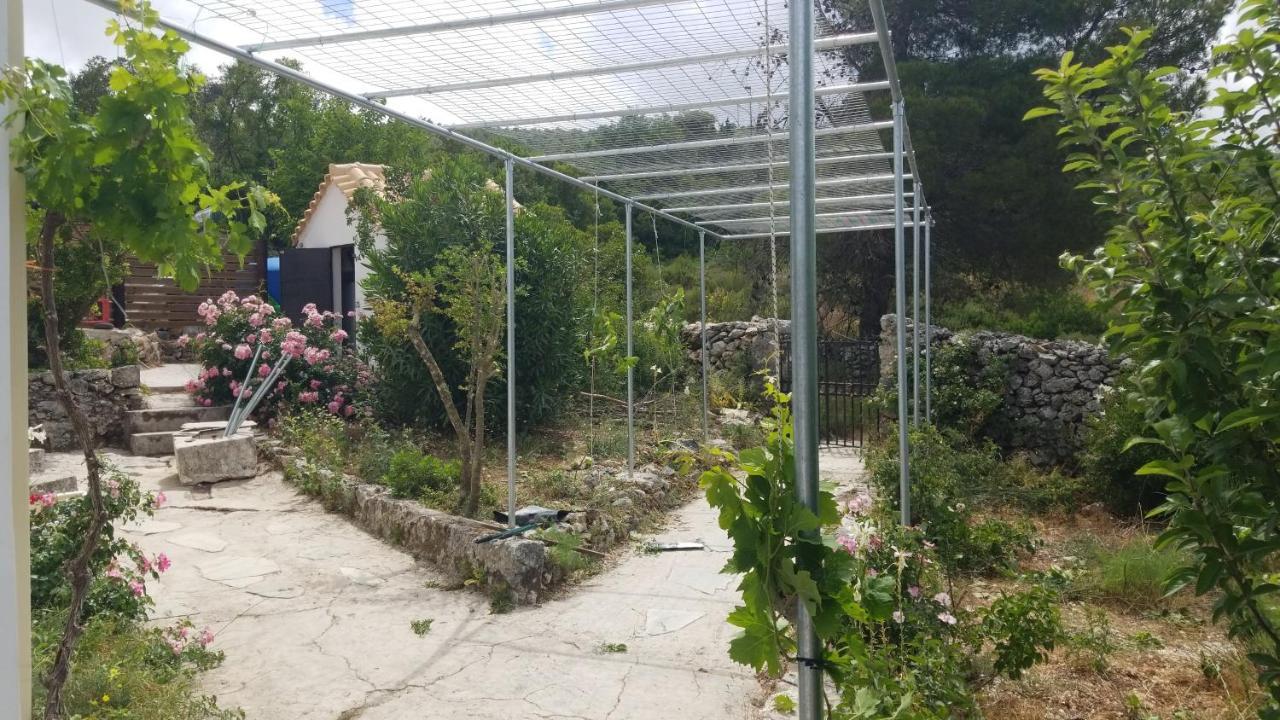 Ferienwohnung Dorinda Agia Marina  Exterior foto